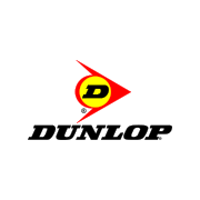 Imagen para la categoría Dunlop